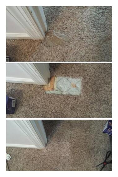 How To Fix A Carpet Ripped Up By A Dog